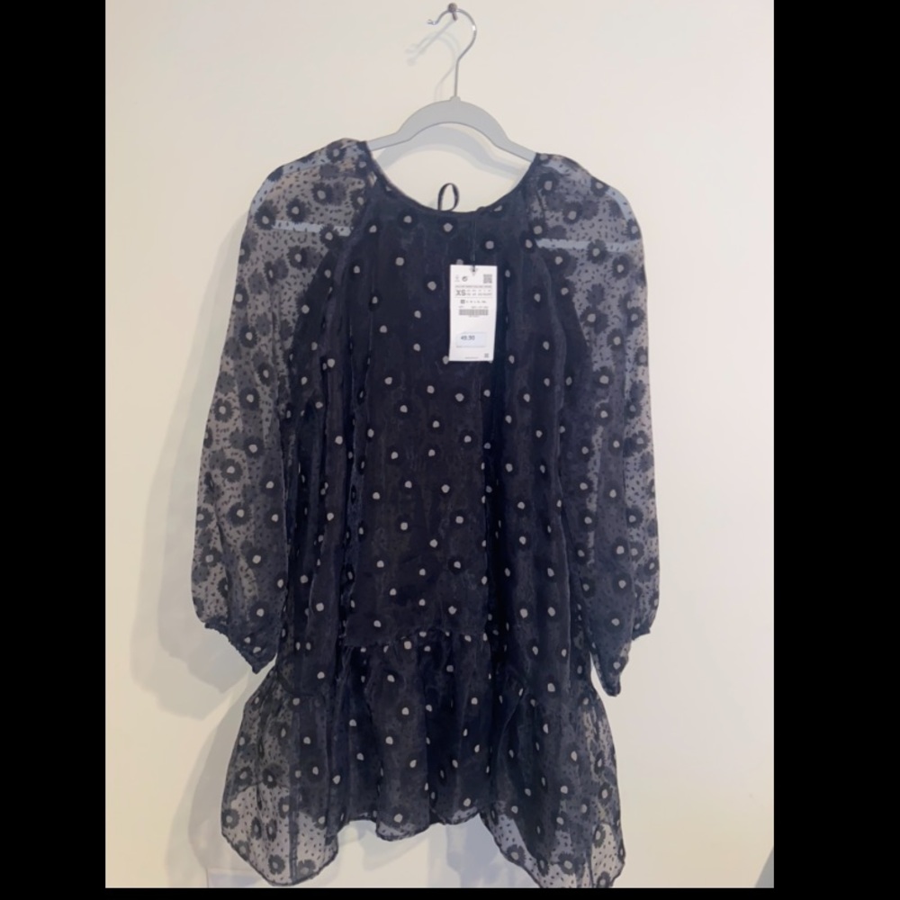 Zara polka dot sheer dress XS